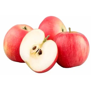 Aidared Айдаред