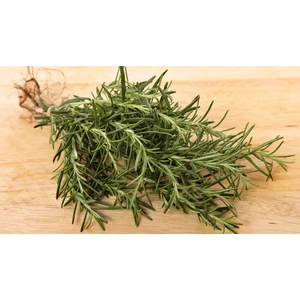 Rozmarin (Розмарин)