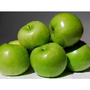 Simirenco (Симиренко)