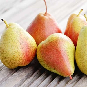 Santa Maria (Π‘Π°Π½ΡΠ° ΠΠ°ΡΠΈΡ)