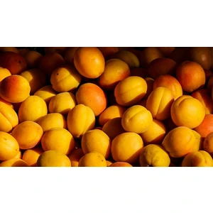 🍑 Caisa Top Hit (Топ хит)