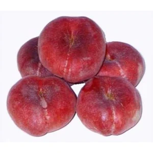 🍑 Piersicul plat nectarin Filoe (Филоэ)