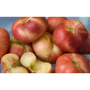 🍑 Piersicul plat nectarin Sauzee (Саузее)