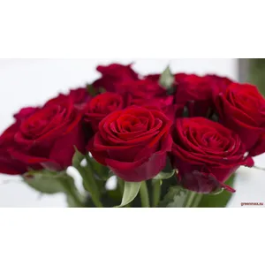 🌹 5. Trandafir „Red Naomi”