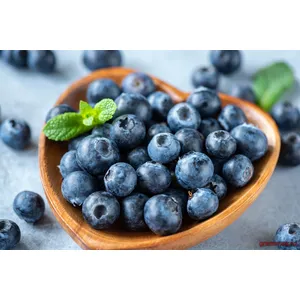 Afine – Vaccinium corymbosum