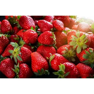 🍓 Căpșuni „Asia”